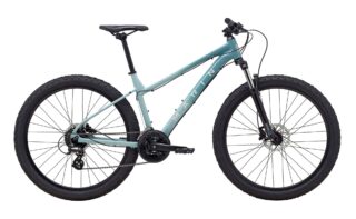 2023 Wildcat Trail 2 Grey Color