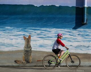 Woman aboard a Marin Kentfield ST, riding past a beach mural, Sebastopol, CA.