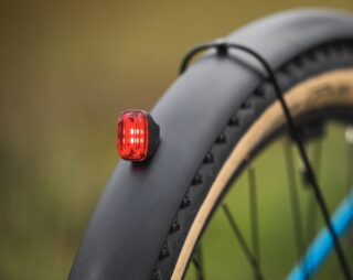 Marin Larkspur E fender-mounted taillamp.