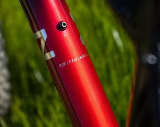 Detail image of the headtube of the Wildcat Trail