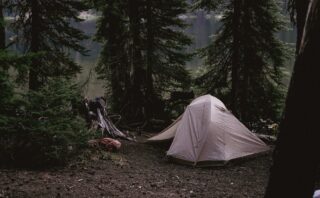 Lakeside campsite, next to evergreens.