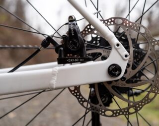 Gestalt rear wheel dropout and brake mount