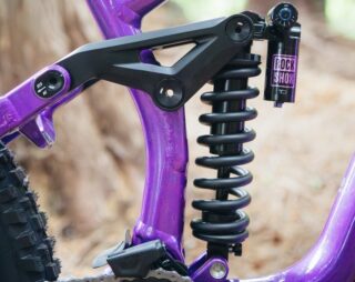 Marin Quake frame detail