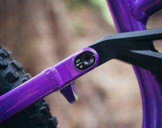 Marin Quake seatstay flip chip detail