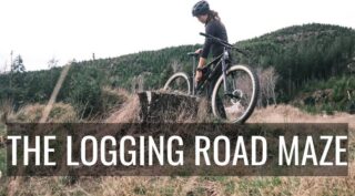 The Logging Road Maze: A Gravel Riders Backyard Paradise